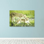 Leeuw en leeuwen, Afrika Canvas Afdruk (Insitu (Houten vloer))
