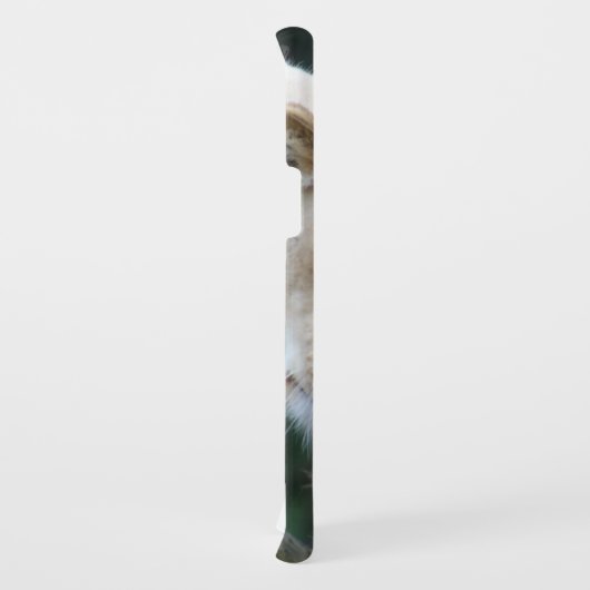 Leeuw en leeuwen Case-Mate samsung galaxy hoesje (Achterkant/rechts)