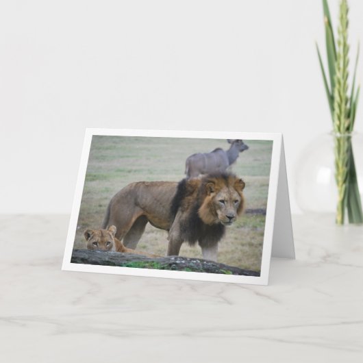 Leeuw en Leeuwin Kaart (Voorkant)