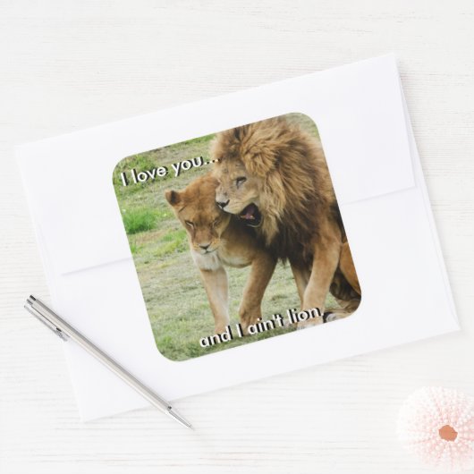 Leeuw en Leeuwin Sticker (Envelop)