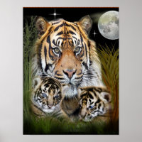 Leeuw en welpen