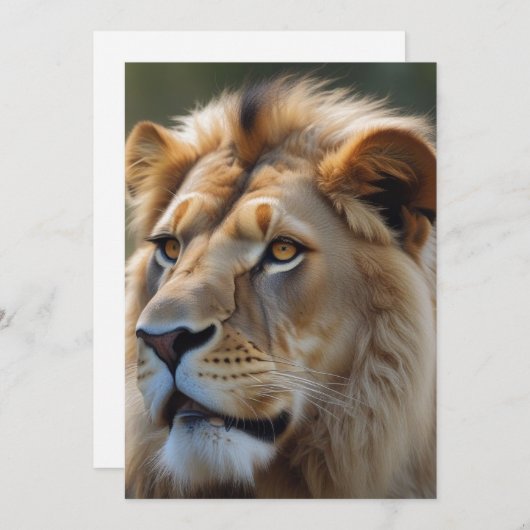 Leeuw Feestdagenkaart (Voorkant / Achterkant)