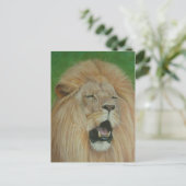 Leeuw grote kat wildlife realist kunst briefkaart (Staand voorkant)
