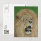 Leeuw grote kat wildlife realist kunst briefkaart (Voorkant / Achterkant)