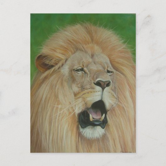 Leeuw grote kat wildlife realist kunst briefkaart (Voorkant)