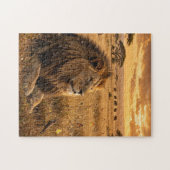 Leeuw in de Afrikaanse savanne Legpuzzel (Horizontaal)