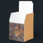 Leeuw in de galerijdoos met cadeaubon bedankdoosjes<br><div class="desc">Ik denk niet dat ik graag een leeuw zou tegenkomen tenzij ik zeker wist dat ik veilig was van zijn scherpe tanden en klauwen. Ik heb deze een beetje kleur gegeven.</div>