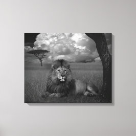 Leeuw in de gras canvas afdruk
