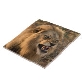Leeuw in de natuurlijke Afrikaanse omgeving Tegeltje (Zijkant)