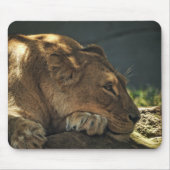 Leeuw in de Shade Mousepad Muismat (Voorkant)