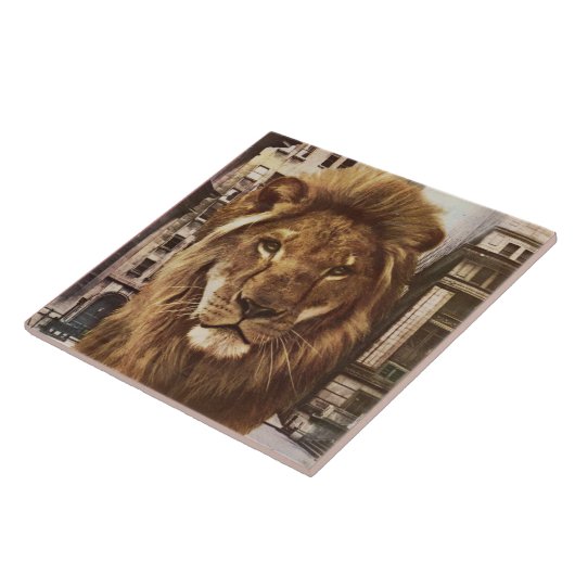 leeuw in de stad tegeltje (Zijkant)