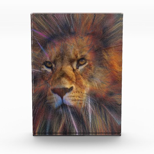 Leeuw in het galerijfotoblok fotoblokken (Voorkant)