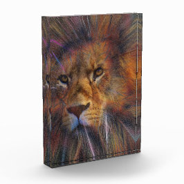 Leeuw in het galerijfotoblok fotoblokken