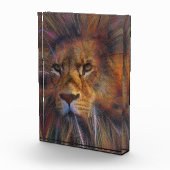 Leeuw in het galerijfotoblok fotoblokken (Rechts)