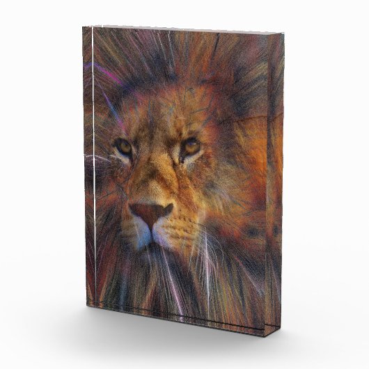 Leeuw in het galerijfotoblok fotoblokken (Rechts)