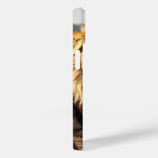 Leeuw in het stof Case-Mate iPhone case (Achterkant / Rechts)