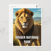 Leeuw in Kruger Nationaal Park Zuid-Afrika Briefkaart (Voorkant / Achterkant)