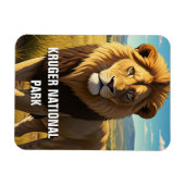 Leeuw in Kruger Nationaal Park Zuid-Afrika Magneet (Horizontaal)