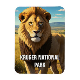 Leeuw in Kruger Nationaal Park Zuid-Afrika Magneet