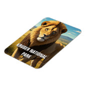 Leeuw in Kruger Nationaal Park Zuid-Afrika Magneet (Linkerzijde)