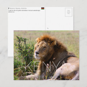 Leeuw in Masai Mara, Kenia Reisansichtkaart Briefkaart