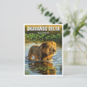 Leeuw in Okavango Delta in Botswana Briefkaart (Staand voorkant)