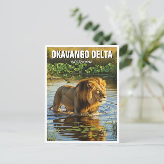 Leeuw in Okavango Delta in Botswana Briefkaart (Staand voorkant)