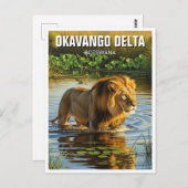 Leeuw in Okavango Delta in Botswana Briefkaart (Voorkant / Achterkant)