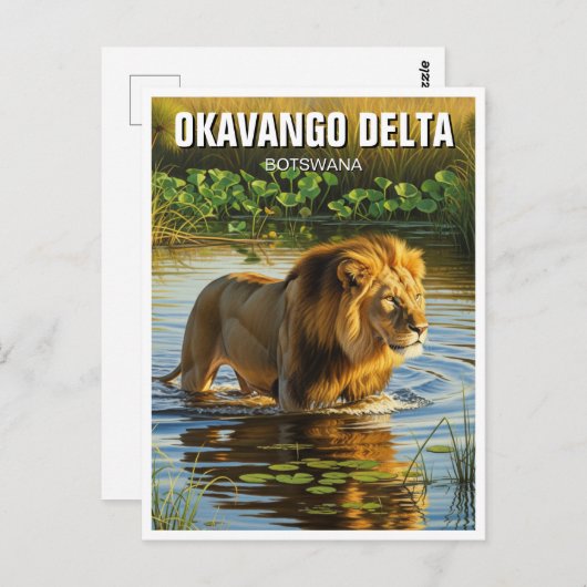 Leeuw in Okavango Delta in Botswana Briefkaart (Voorkant / Achterkant)