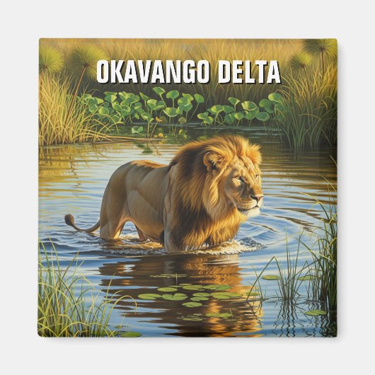 Leeuw in Okavango Delta in Botswana Magneet (Voorkant)