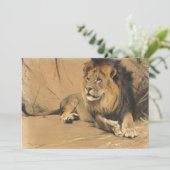 leeuw in rust | Wilhelm Kuhnert (Staand voorkant)