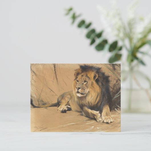 leeuw in rust | Wilhelm Kuhnert Briefkaart (Staand voorkant)