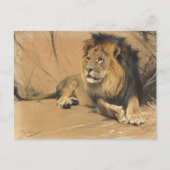 leeuw in rust | Wilhelm Kuhnert Briefkaart (Voorkant)