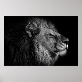 Leeuw in zwart-wit poster