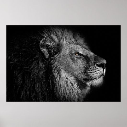 Leeuw in zwart-wit poster (Voorkant)