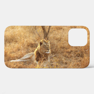 Leeuw iPhone 12 Hoesje