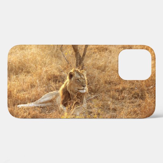 Leeuw iPhone 12 Hoesje (Achterkant (horizontaal))