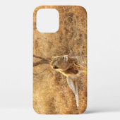 Leeuw iPhone 12 Hoesje (Achterkant)