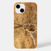 Leeuw iPhone 14 Hoesje (Achterkant)