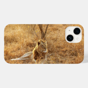 Leeuw iPhone 14 Hoesje