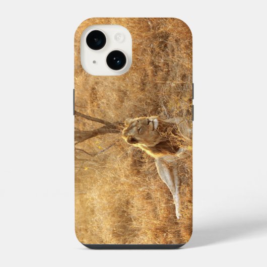 Leeuw iPhone 14 Hoesje (Achterkant)