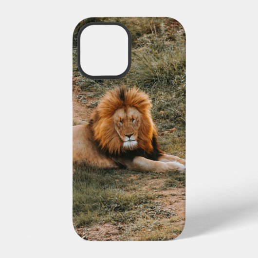 LEEUW iPhone HOESJE (Achterkant)