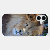 leeuw iPhone hoesje (Achterkant horizontaal)