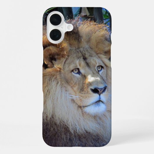 leeuw iPhone hoesje (Achterkant)