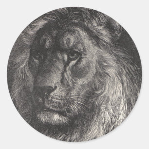 leeuw judah stickers