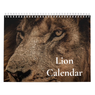 Leeuw Kalender 2027