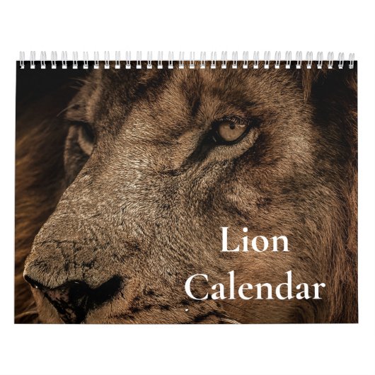 Leeuw Kalender 2027 (Hoes)