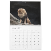 Leeuw Kalender 2027 (Jan 2027)