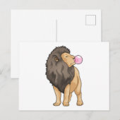 Leeuw Kauwgum Briefkaart (Voorkant / Achterkant)