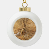 Leeuw Keramische Bal Kerst Ornament (Voorkant)